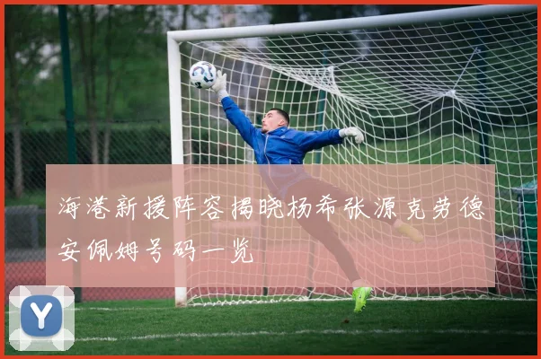 海港新援阵容揭晓杨希张源克劳德安佩姆号码一览