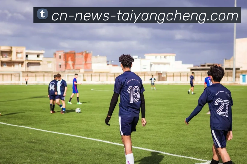 太阳城平台生态图